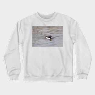 Ring-Necked Duck Crewneck Sweatshirt